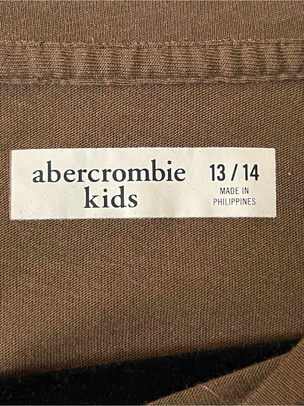 Abercrombie & Fitch Brown Knotted Baby tee Y2K Casual Fitted Embroidered Top XS